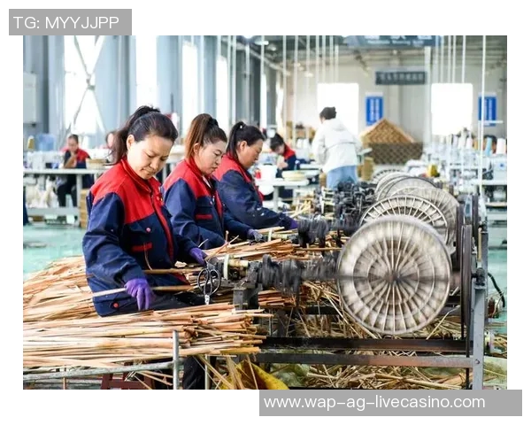 少林与太极的对决:武术哲学与技艺的深度探讨与碰撞 少林与太极的对决:武术哲学与技艺的深度探讨与碰撞